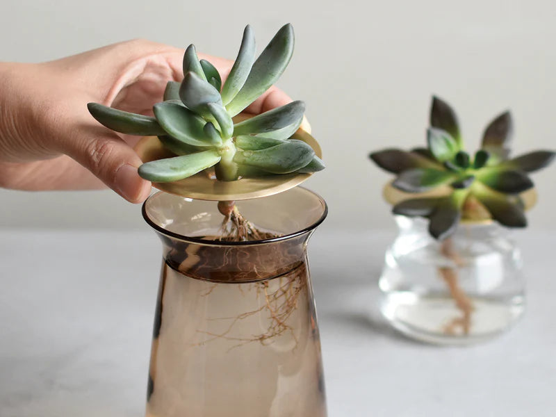 Luna Vase