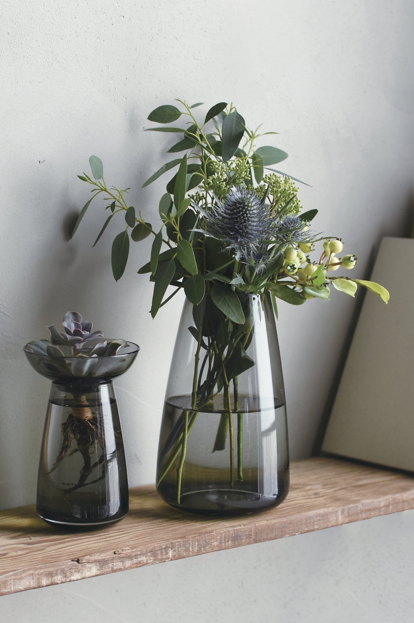 cutting vase, aqua culture vase, flower vase, |www.bowlandpitcher.com