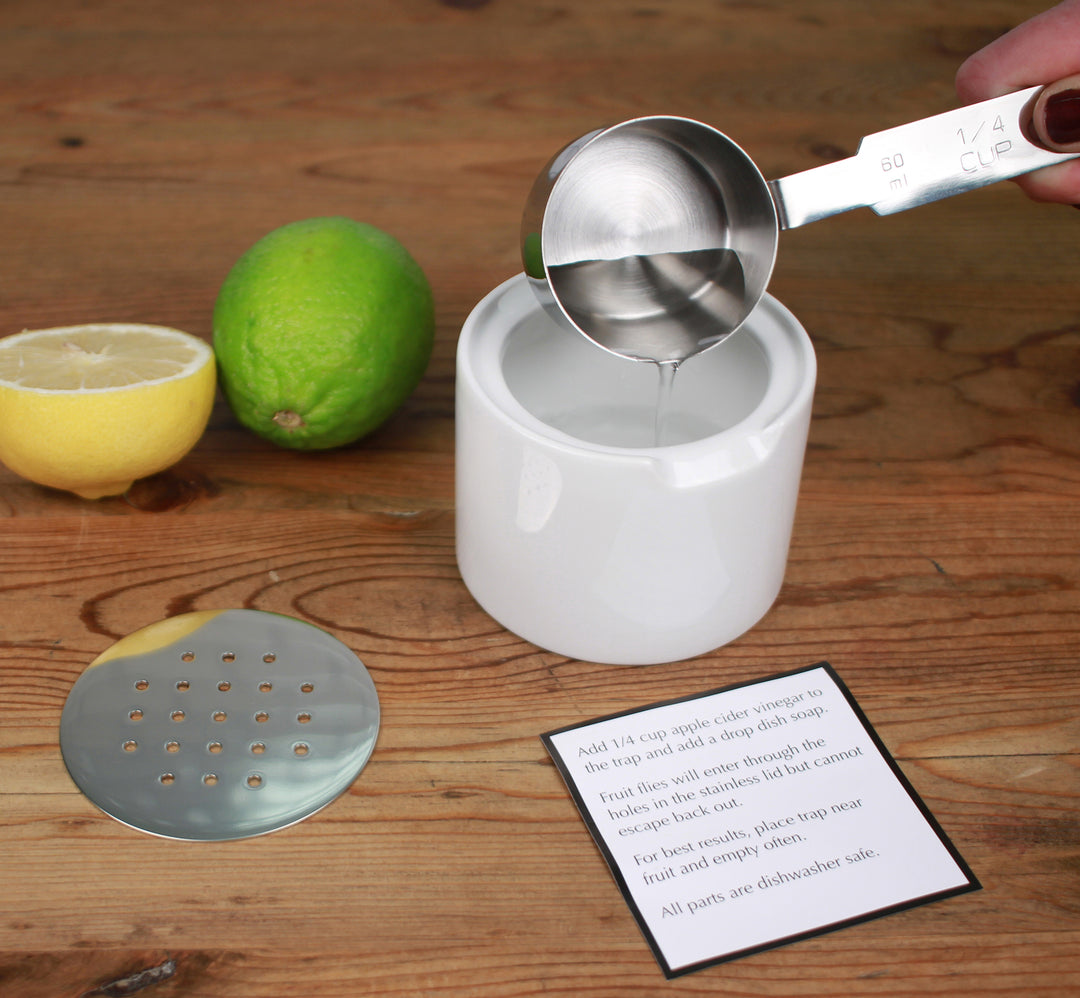 fruit fly trap