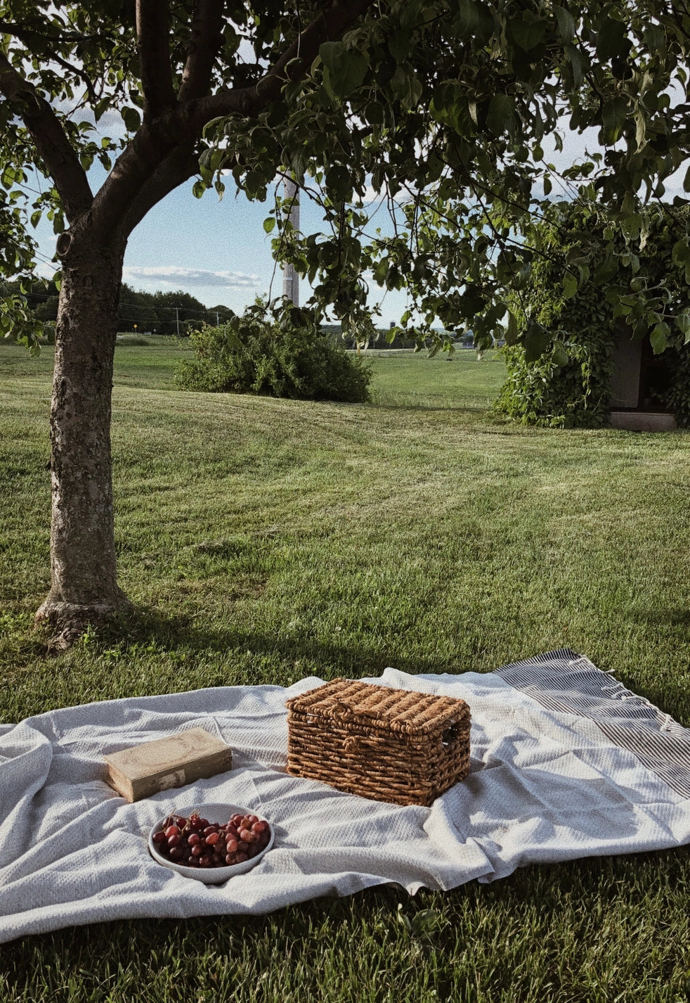 Fouta Towels