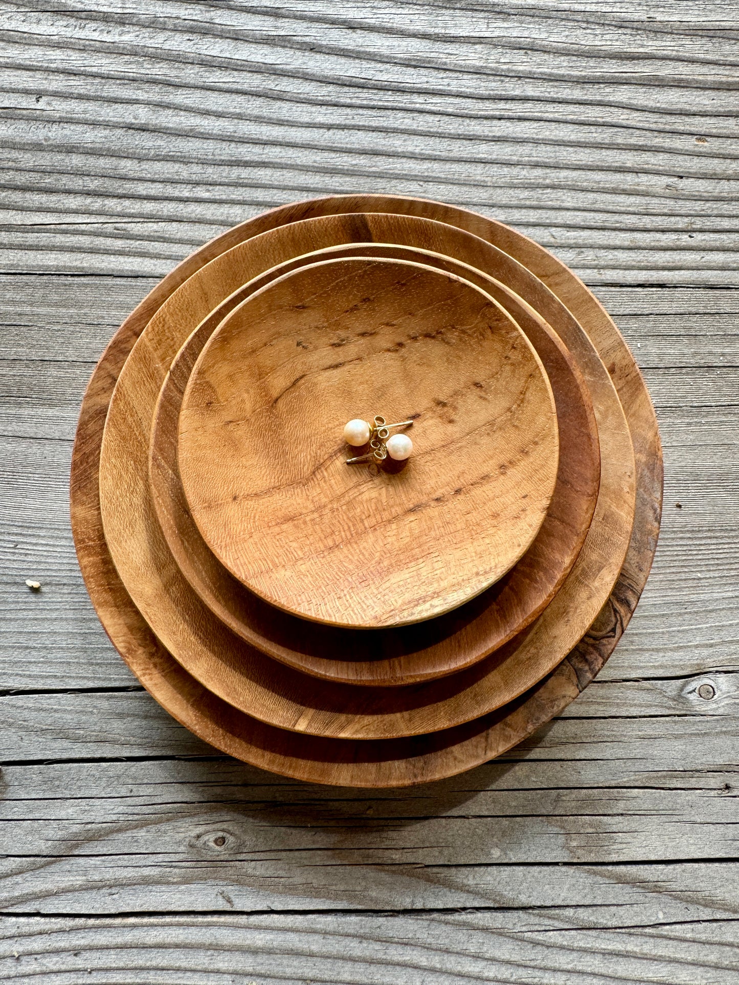 Teak Root Shallow Dish Set of 4