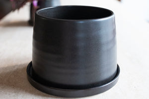 porcelain plant pot, black pot, pottery, #planters