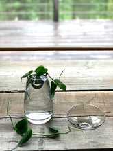 Load image into Gallery viewer, cutting vase, aqua culture vase, flower vase, |www.bowlandpitcher.com
