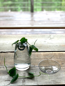 cutting vase, aqua culture vase, flower vase, |www.bowlandpitcher.com