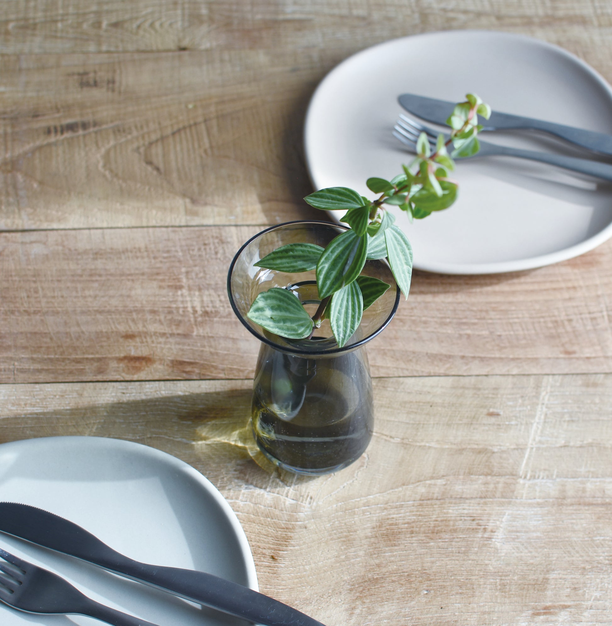 cutting vase, aqua culture vase, flower vase, |www.bowlandpitcher.com