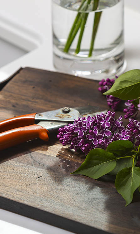 Rustic Walnut Serving Board