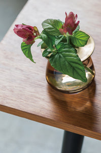 Propagating vase, hydroponics, brass, Japanese decor, #vase #cuttings | www.bowlandpitcher.com