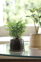 Load image into Gallery viewer, porcelain plant pot, taupe and black pots, pottery, #planters
